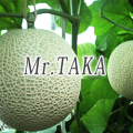 温室マスクメロン（Mr.TAKA）