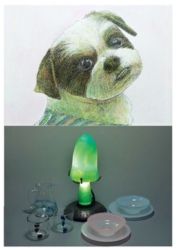 藤浪瑛智・寺澤彰紘展