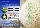 メロン農園様リーフレット(表)
