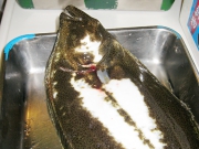 お料理教室第9弾